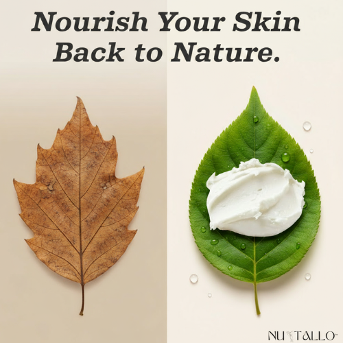 Tallow Cream Lemongrass & Lavender